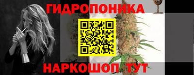 ALPHA PVP Камышлов