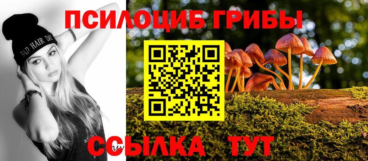 Псилоцибиновые грибы прущие грибы  Псилоцибиновые грибы прущие грибы  Вход с VPN  Куйбышев 